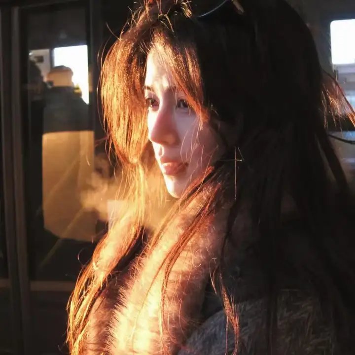 安妮·雪莉海报
